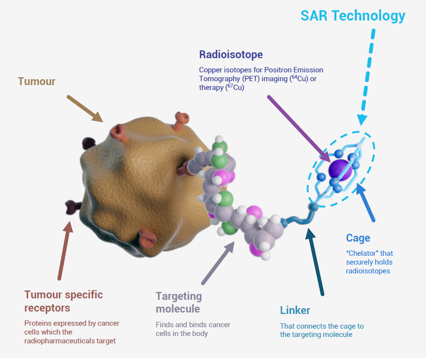 Radioisotope attached to tumour receptor